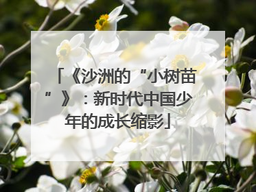 《沙洲的“小树苗”》：新时代中国少年的成长缩影