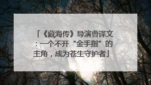 《藏海传》导演曹译文：一个不开“金手指”的主角，成为苍生守护者