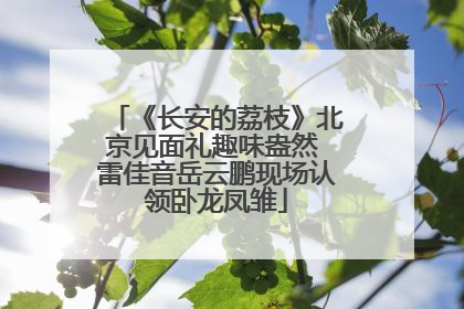 《长安的荔枝》北京见面礼趣味盎然 雷佳音岳云鹏现场认领卧龙凤雏