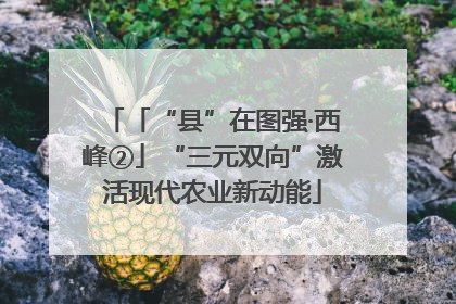 「“县”在图强·西峰②」“三元双向”激活现代农业新动能