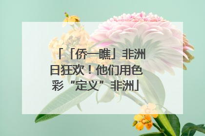 「侨一瞧」非洲日狂欢！他们用色彩“定义”非洲