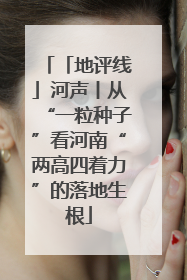 「地评线」河声丨从“一粒种子”看河南“两高四着力”的落地生根