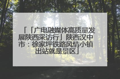「广电融媒体高质量发展陕西采访行」陕西汉中市：徐家坪铁路风情小镇 出站就是景区