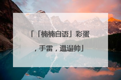 「楠楠自语」彩蛋，手雷，邋遢帅
