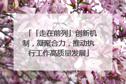 「走在前列」创新机制，凝聚合力，推动执行工作高质量发展