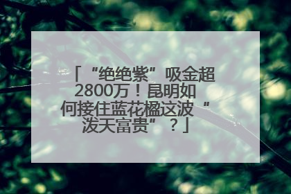 “绝绝紫”吸金超2800万！昆明如何接住蓝花楹这波“泼天富贵”？