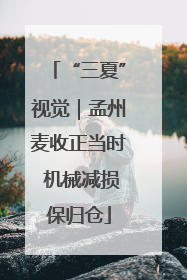 “三夏”视觉｜孟州麦收正当时 机械减损保归仓