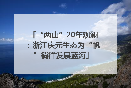 “两山”20年观澜：浙江庆元生态为“帆”徜徉发展蓝海
