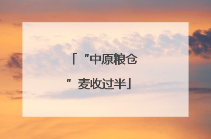 “中原粮仓”麦收过半