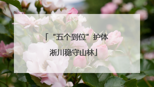“五个到位”护体 淅川稳守山林