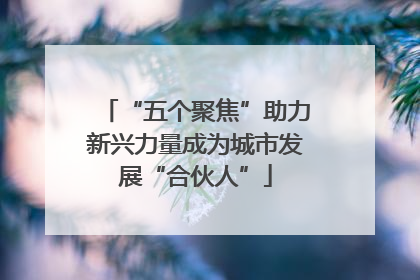 “五个聚焦”助力新兴力量成为城市发展“合伙人”