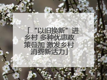 “以旧换新”进乡村 多种优惠政策叠加 激发乡村消费新活力