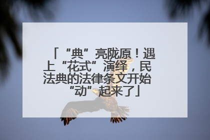 “典”亮陇原！遇上“花式”演绎，民法典的法律条文开始“动”起来了