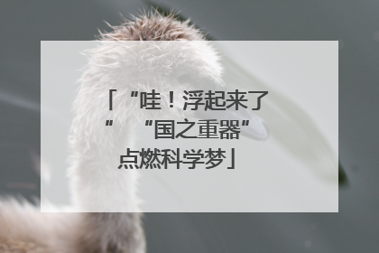 “哇！浮起来了” “国之重器”点燃科学梦