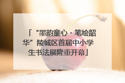 “墨韵童心・笔绘韶华”陵城区首届中小学生书法展隆重开幕