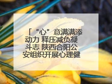 “心”意满满添动力 释压减负凝斗志 陕西合阳公安组织开展心理健康团体辅导活动