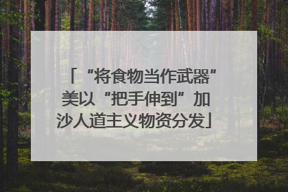 “将食物当作武器” 美以“把手伸到”加沙人道主义物资分发