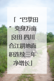 “巴掌田”变身万亩良田 四川合江耕地面积连续三年净增长