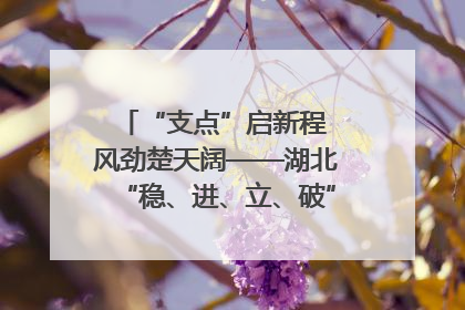 “支点”启新程 风劲楚天阔——湖北“稳、进、立、破”谱写“荆”彩篇章