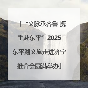 “文脉承齐鲁 携手赴东平”2025东平湖文旅走进济宁推介会圆满举办