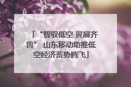 “智驭低空 翼展齐鲁” 山东移动助推低空经济蓄势腾飞