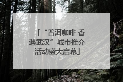 “普洱咖啡 香遇武汉”城市推介活动盛大启幕