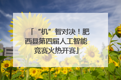 “机”智对决！肥西县第四届人工智能竞赛火热开赛