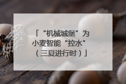 “机械城堡”为小麦智能“控水”（三夏进行时）