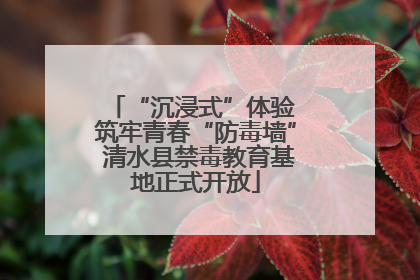 “沉浸式”体验 筑牢青春“防毒墙” 清水县禁毒教育基地正式开放