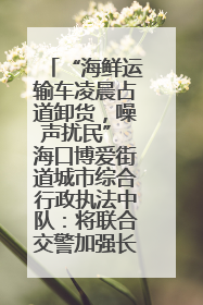 “海鲜运输车凌晨占道卸货，噪声扰民” 海口博爱街道城市综合行政执法中队：将联合交警加强长堤路一带巡逻