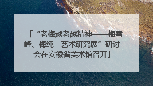 “老梅越老越精神——梅雪峰、梅纯一艺术研究展”研讨会在安徽省美术馆召开