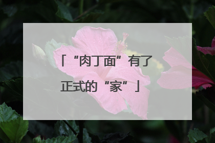 “肉丁面”有了正式的“家”