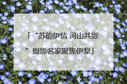 “苏韵伊情 河山共影”摄影名家聚焦伊犁