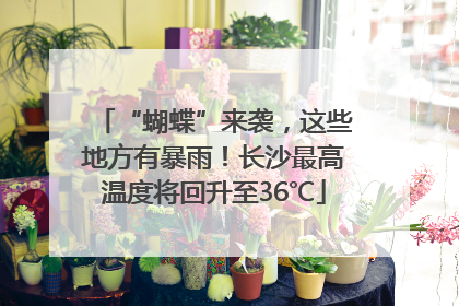 “蝴蝶”来袭，这些地方有暴雨！长沙最高温度将回升至36℃