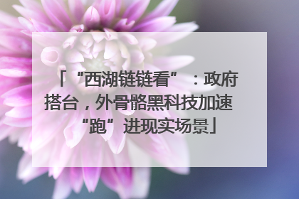 “西湖链链看”：政府搭台，外骨骼黑科技加速“跑”进现实场景