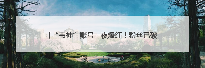 “韦神”账号一夜爆红！粉丝已破2000万，最担心的事发生了