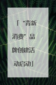 “青新消费”品牌创建活动启动