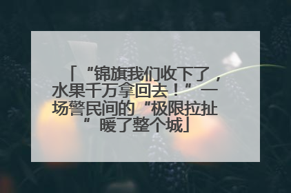 “锦旗我们收下了，水果千万拿回去！”一场警民间的“极限拉扯”暖了整个城