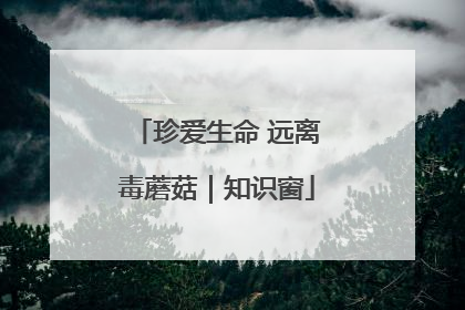 珍爱生命 远离毒蘑菇｜知识窗