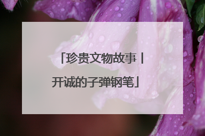 珍贵文物故事丨开诚的子弹钢笔