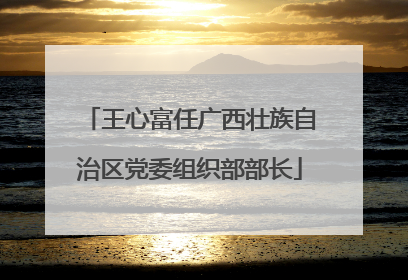 王心富任广西壮族自治区党委组织部部长