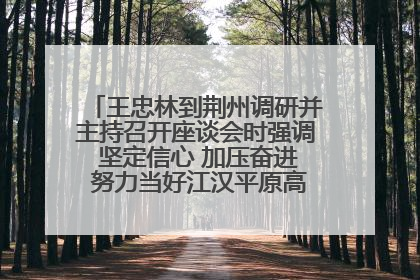 王忠林到荆州调研并主持召开座谈会时强调 坚定信心 加压奋进 努力当好江汉平原高质量发展排头兵