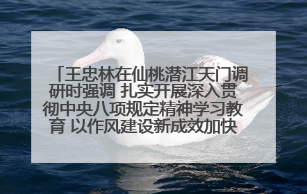 王忠林在仙桃潜江天门调研时强调 扎实开展深入贯彻中央八项规定精神学习教育 以作风建设新成效加快推动高质量发展