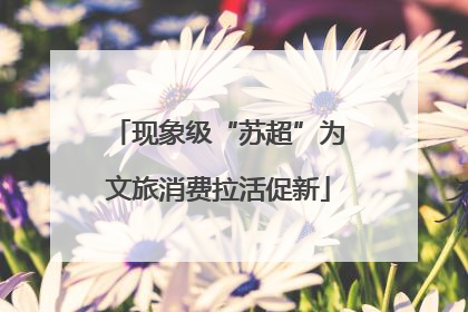 现象级“苏超”为文旅消费拉活促新