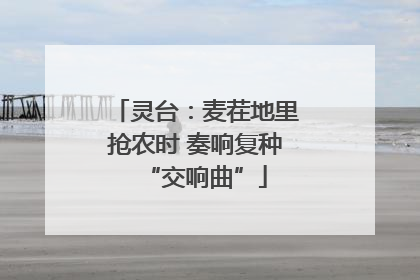 灵台：麦茬地里抢农时 奏响复种“交响曲”