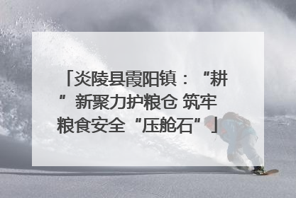 炎陵县霞阳镇：“耕”新聚力护粮仓 筑牢粮食安全“压舱石”