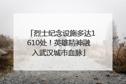 烈士纪念设施多达1610处！英雄精神融入武汉城市血脉