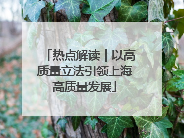 热点解读｜以高质量立法引领上海高质量发展