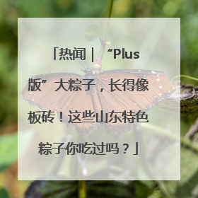 热闻｜“Plus版”大粽子，长得像板砖！这些山东特色粽子你吃过吗？