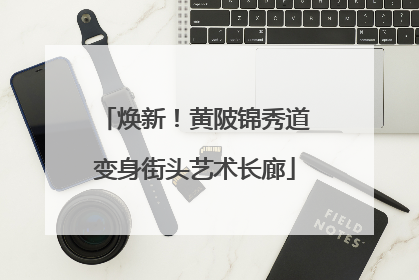 焕新！黄陂锦秀道变身街头艺术长廊